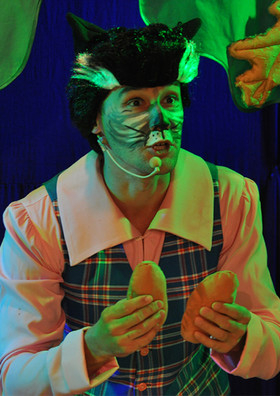 "Красная шапочка & серый волк" мюзикл Театрально-концертное агентство "Звёздный дождь"